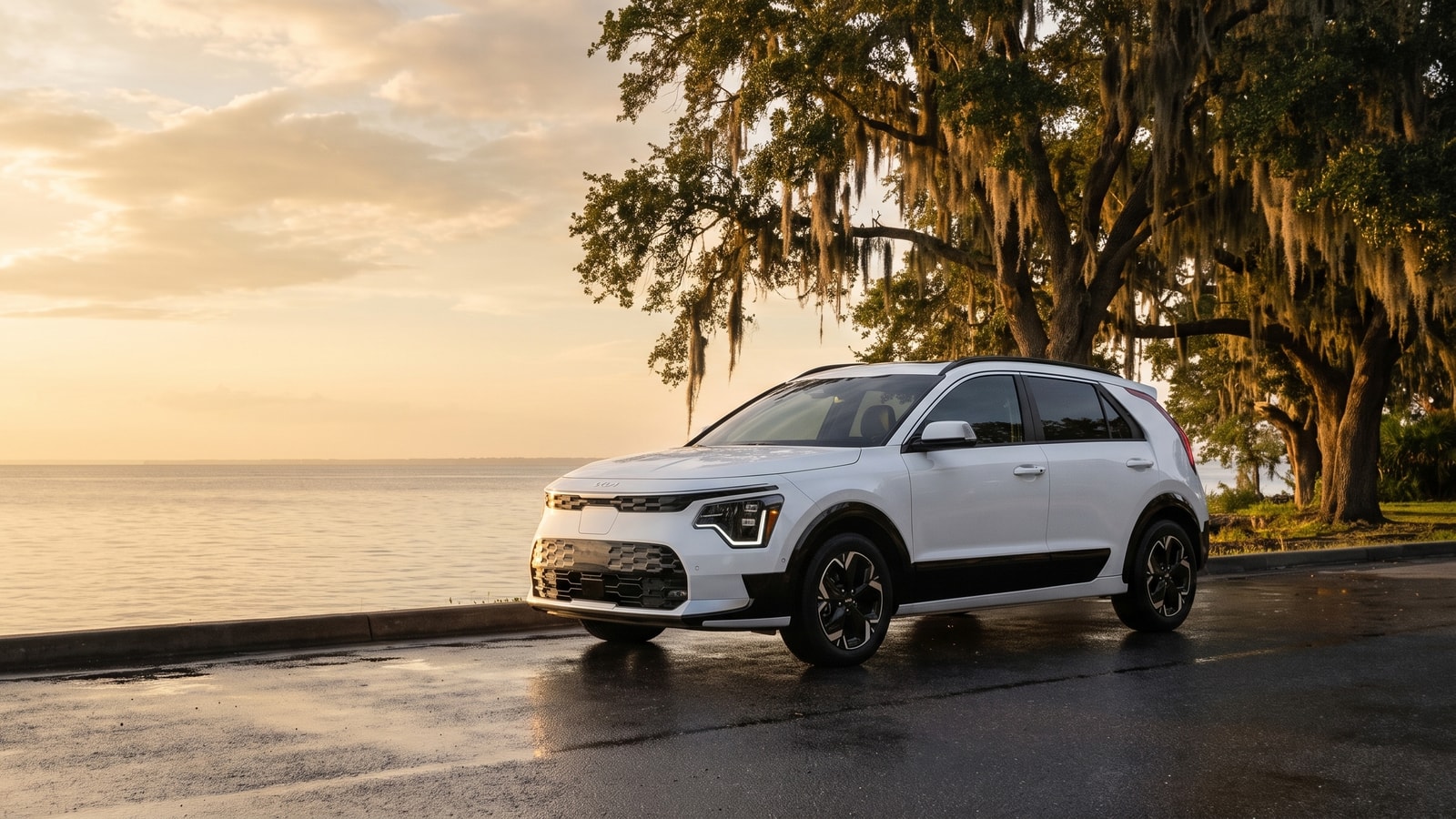 Shop all 2026 Niro EV inventory