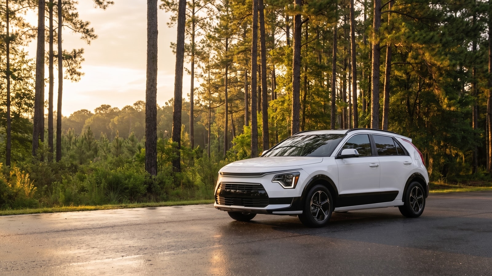 2027 Kia Niro S